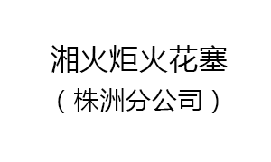 株洲湘火炬火花塞有限責(zé)任公司汽車密封分公司